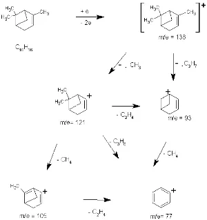 Gambar 4.4 Pola Fragmentasi dari α- pinen 