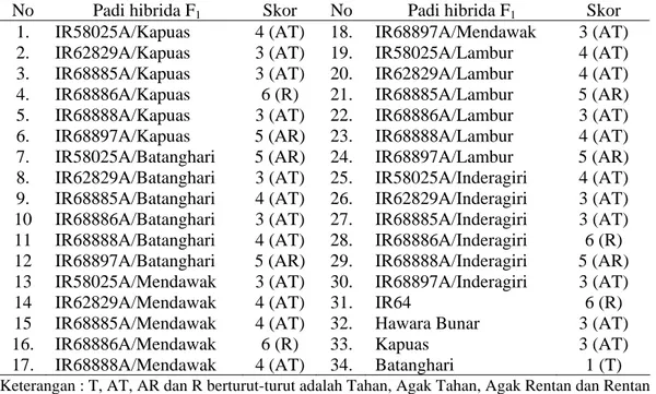 Tabel 5. Skor ketahanan padi hibrida F 1   dan  varietas  cek  terhadap  keracunan  Al,                Jasinga, MK2003