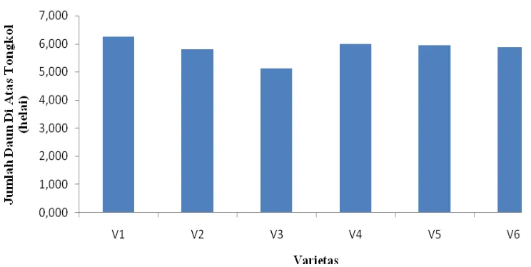 Gambar 1. Histogram Rataan Jumlah Daun Di Atas Tongkol dari Varietas Jagung.  
