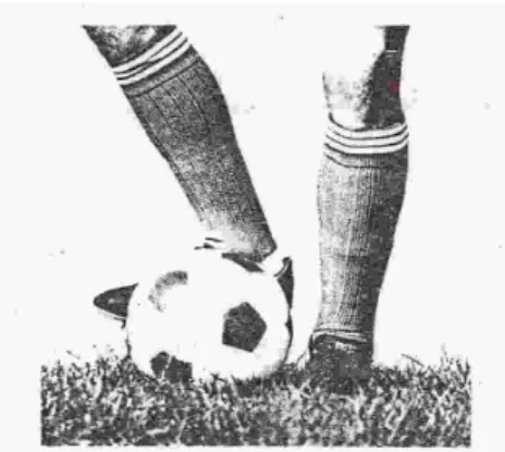 Gambar 1 :  letak kaki tumpu 