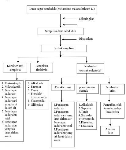Gambar 1.Bagan  metodologi penelitian.
