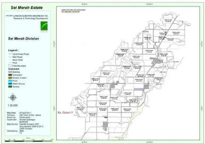 Gambar 3: Peta Sei Merah Estate (Sumber: Internal Perkebunan)  