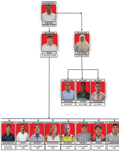 Gambar 6. Struktur Organisasi Divisi Sei Merah 