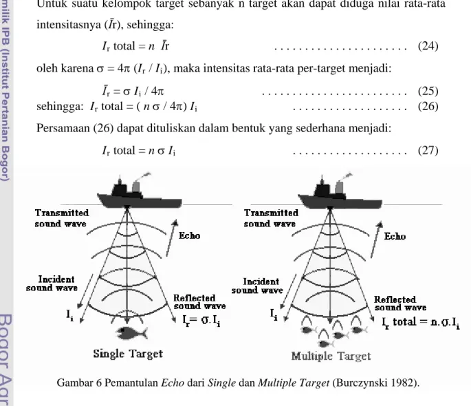 Gambar 6 Pemantulan Echo dari Single dan Multiple Target (Burczynski 1982). 