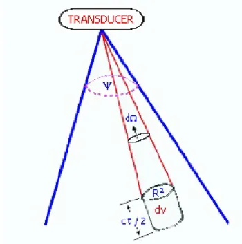 Gambar 3 Volume Backscattering Strength pada Multiple Target (Johannesson dan Mitson  1983)