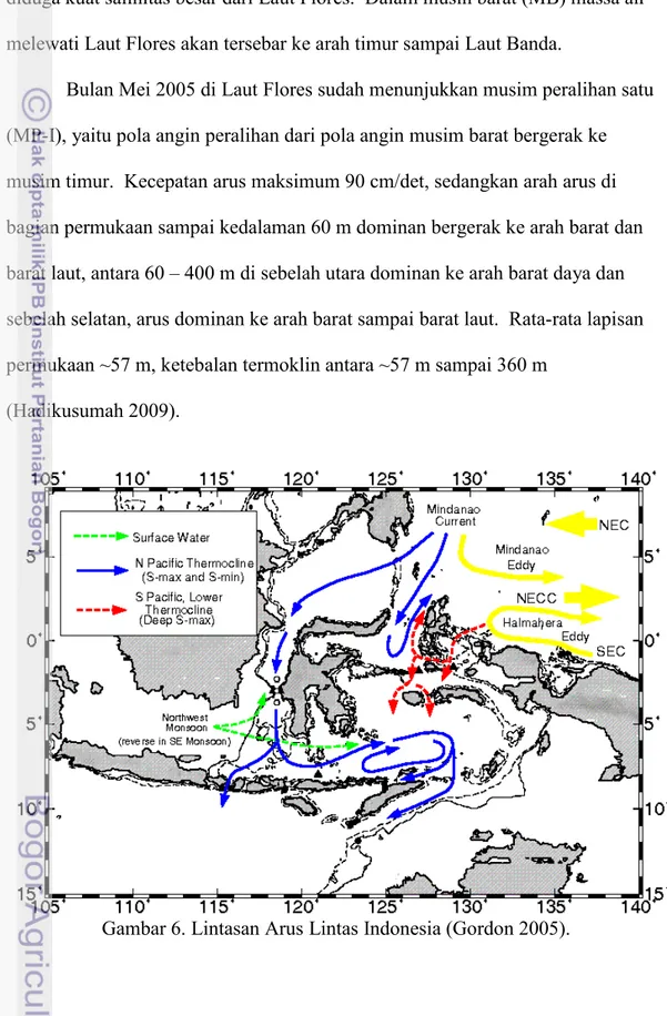 Gambar 6. Lintasan Arus Lintas Indonesia (Gordon 2005). 
