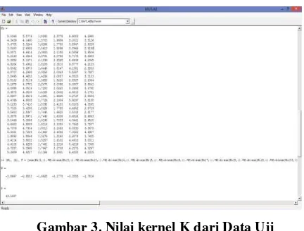 Gambar 3. Nilai kernel K dari Data Uji 