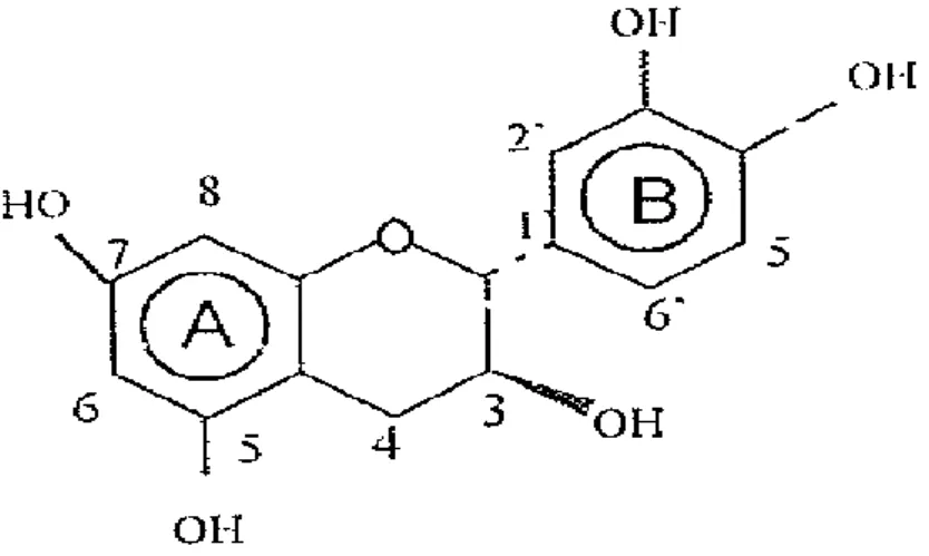 Gambar 2.1. Struktur kimia katekin 