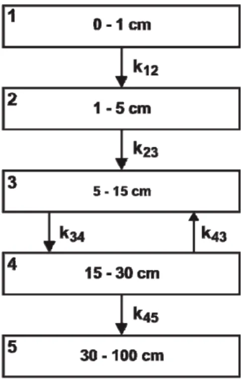 Gambar 5. Model lapisan tanah tak tercampur (undisturbed soil) 