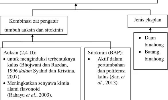 Gambar 2.2 Skema Kerangka Berpikir 