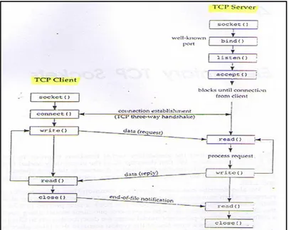 Gambar 2.8   Model Aplikasi Client / Server pada protokol TCP 