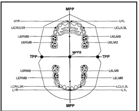 Gambar 7. Symmetograph20 