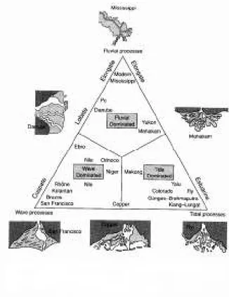 Gambar 6. Klasifikasi Bentuk Delta berdasarkan pada Proses yang Dominan  antara Pasang surut, Gelombang dan Sungai ( Trenhale,  1997) 