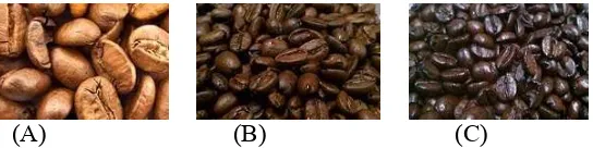 Gambar 1. Tingkat kematangan kopi: (A) Light; (B) Medium; dan (C) Dark. 