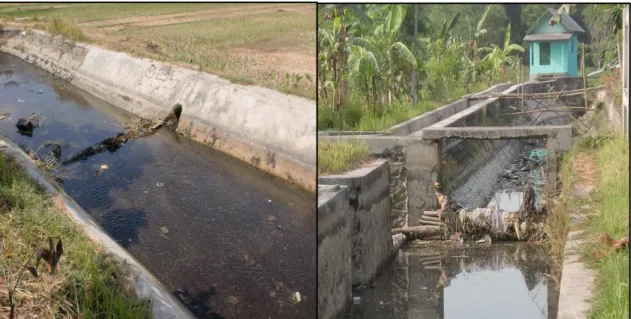 Gambar 17. Sadap Liar dan Anggelan 