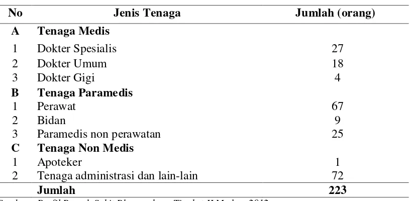Tabel 4.1 Distribusi Jenis Tenaga di Rumah Sakit Bhayangkara Tingkat II Medan  