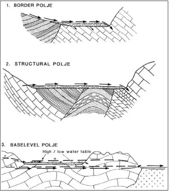 Gambar : Tipe – tipe Polje menurut Ford and Williams, 1989. 