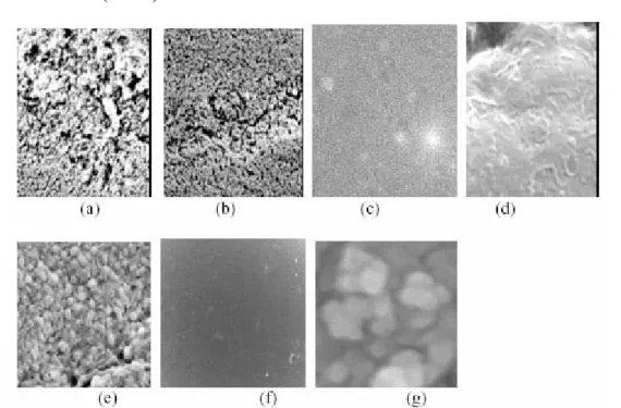 Gambar 1. Fotografi SEM pembesaran 10.000 X terhadap permukaan resin  amberlite XAD-16 (a) sebelum impregnasi (b) setelah impregnasi  dengan 10% D2EHPA dan (c) setelah impregnasi dengan 50%  D2EHPA, (d) setelah impregnasi dengan 60% D2EHPA, (e) Resin  (c) setelah diekstraksi dengan La(III), (f) XAD-16 diimpregnasi  dengan 50% TBP dan (g) resin (f) setelah diekstraksi dengan  Ce(III) 