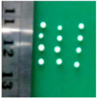 Gambar 4.2.   Mikrokapsul dengan kecepatan pengadukan 100 rpm (Ukuran berkisar                                antara 315-800 µm)