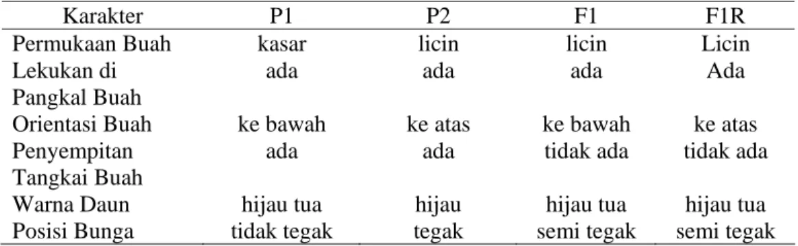 Tabel 2. Beberapa Karakter Kualitatif Cabai pada P1, P2, F1, dan F1R 