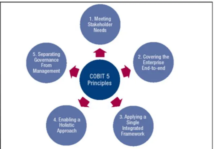 Gambar 1. Prinsip-Prinsip Framework COBIT 5  