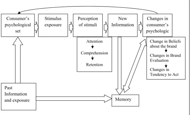 Gambar 2.1. A High Involvement Model of Consumer Perceptions  Sumber: Assael (1984, p