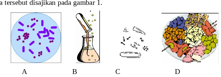 Gambar 1. Sumber bahaya pada pangan, A. Sumber Biologis                           B. Sumber Kimiawi; C