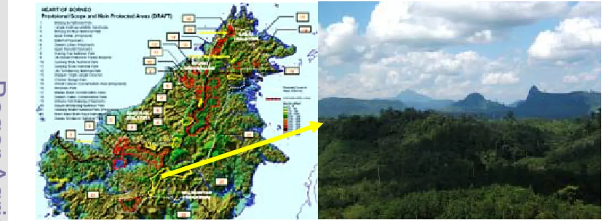 Gambar 3.  Kawasan Pegunungan Muller Kalimantan Tengah 