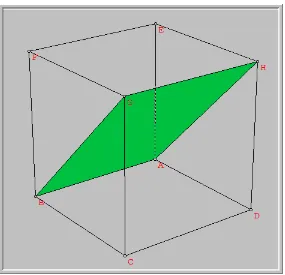 Gambar 10. Memilih dan mewarnai bidang diagonal kubus  