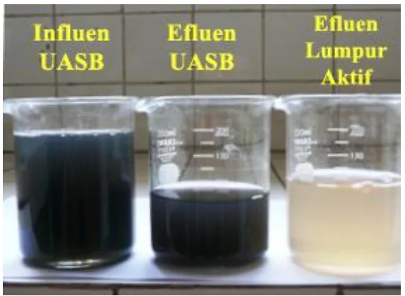 Gambar 17.   Influen dan Efluen Reaktor  UASB dan Lumpur Aktif 