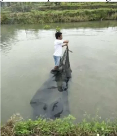 Gambar 1. Kondisi Kolam 