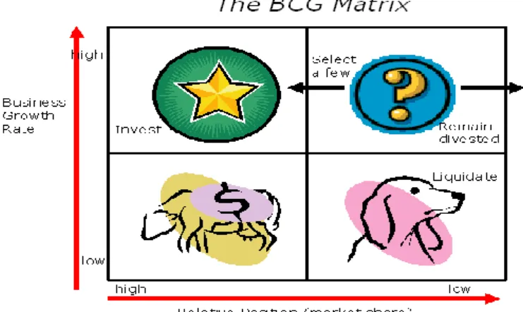 Gambar 1.1  Matriks BCG 