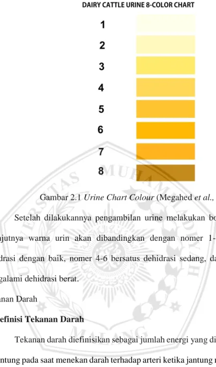 Gambar 2.1 Urine Chart Colour (Megahed et al., 2019) 