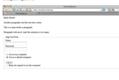 Figure 1-5. The form as it appears after editing index.html 