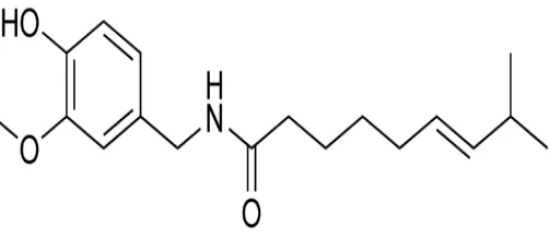 Gambar 2.5 Struktur Kimia Capsaicin (8-metil-N-vanilil-6 
