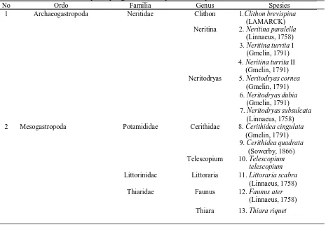 Tabel 1. Klasifikasi Gastropoda yang ditemukan pada lokasi penelitian. No Ordo Familia Genus 