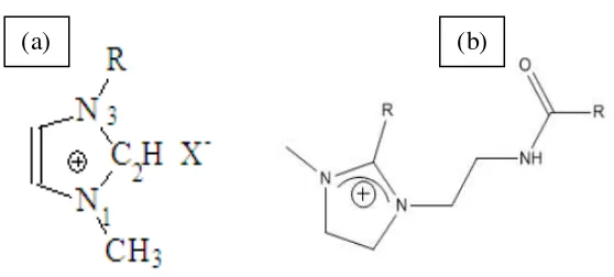 Gambar 1.1. Struktur (a) Kation imidazolium dan (b) Kation cis-oleil-