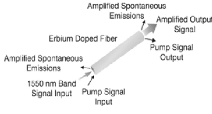 Gambar 4.3 Erbium-doped Optical Fiber 