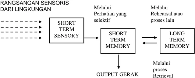 Gambar 2.5. Hubungan antara kompartemen memori, memperlihatkan proses  yang terdapat di dalamnya