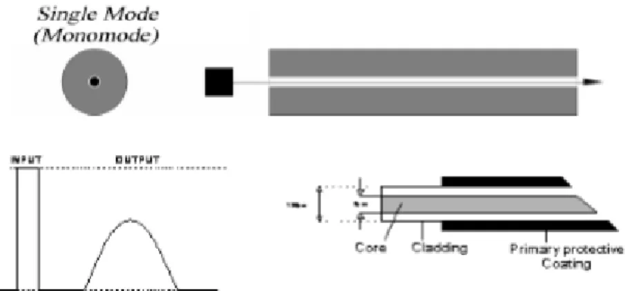 Gambar 4 - Single Mode Step Index 