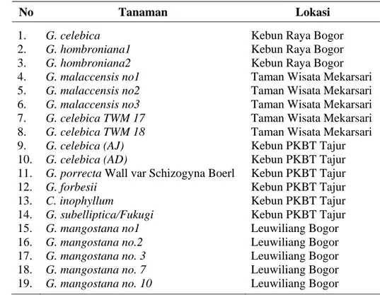 Tabel 1. Bahan tanaman tanaman manggis dan kerabatnya 