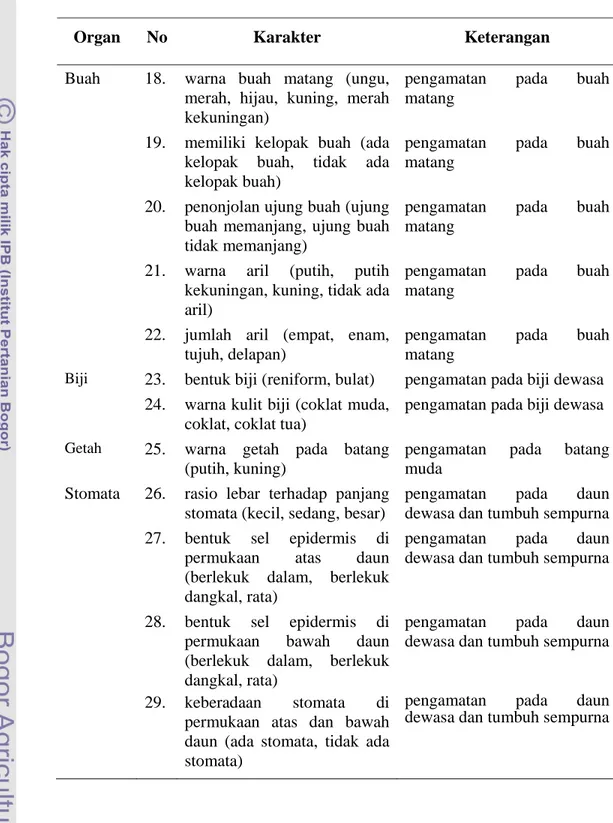 Tabel 2.  Karakter pengamatan morfologi pada G. mangostana dan  kerabatnya (lanjutan) 