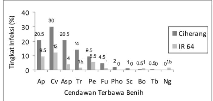 Gambar 1. Tingkat infeksi cendawan terbawa benih padi varietas                     Ciherang dan IR 64 20.53020.5149.5 4.5 2 1 0.5 0.5 09.51241.55.510010 1.5010203040Ap Cv Asp Tr Pe Fu Pho Sc Bo Tb NgCendawan Terbawa BenihTingkat Infeksi (%) CiherangIR 64