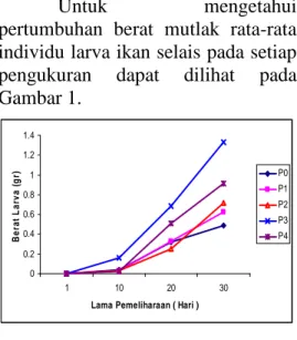 Gambar 1.  Grafik  Pertumbuhan  Berat  Mutlak  Rata-Rata Individu Larva Ikan Selais  (Ompok hypophthalmus) Pada Setiap  Pengukuran 