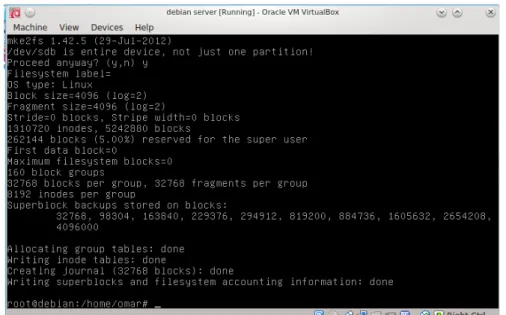 Gambar 13: proses memformat harddisk pada Debian server