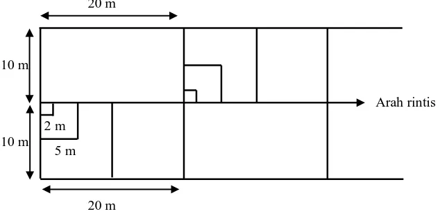 Gambar 2. Desain Kombinasi Metode Jalur Dengan Metode Garis Berpetak 