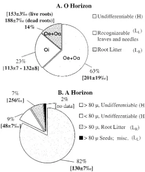 Figure 7. Heterogeneity of the O (top, Figure 7(A)) and A (bottom, Figure 7(B)) horizons