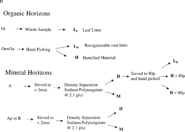 Figure 2. Schematic representation of soil sample processing into the homogeneous soilorganic matter pools as deﬁned in this paper; LL or LR (recognizable leaf or root litter respec-tively), H (undifferentiable SOM which is considered to be microbially alt