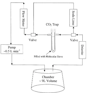 Figure 3. Sampling scheme for trapping CO2 on molecular sieve (mesh size 13×) usinga closed dynamic chamber system