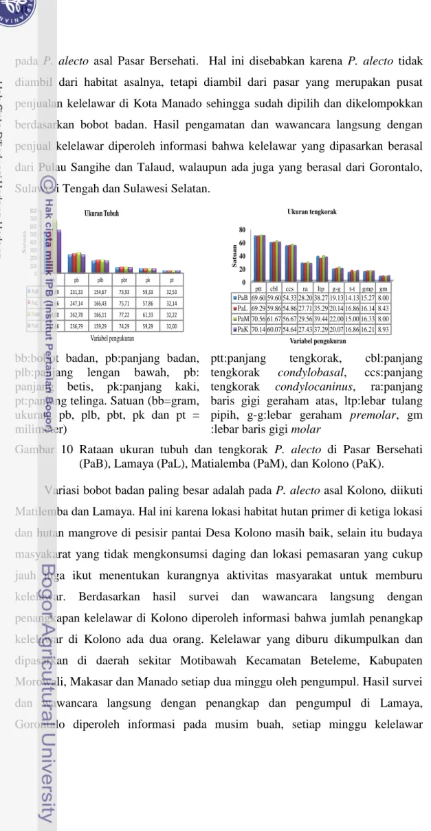 Gambar  10  Rataan  ukuran  tubuh  dan  tengkorak  P.  alecto  di  Pasar  Bersehati  (PaB), Lamaya (PaL), Matialemba (PaM), dan Kolono (PaK)